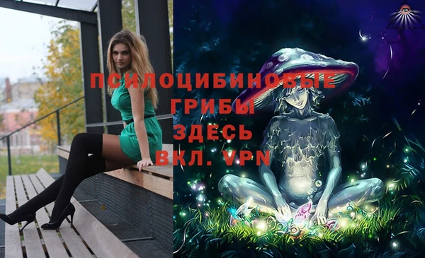 стаф Кинешма