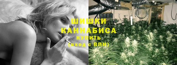 прущие крисы Козловка