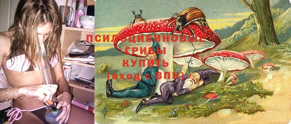 стаф Кинешма
