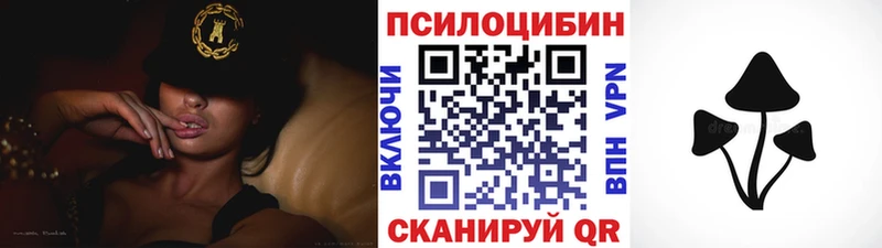 Купить закладки  Балей  Галлюциногенные грибы Psilocybe 